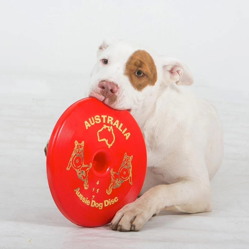 Aussie Dog Disc Red - Image 2