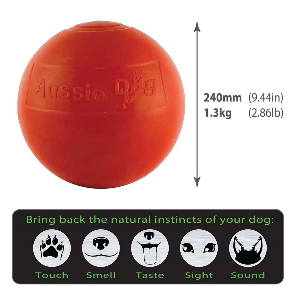 Aussie Dog Staffie Ball - Image 3