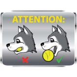 Aussie Dog Tucker Ball Large - Image 4