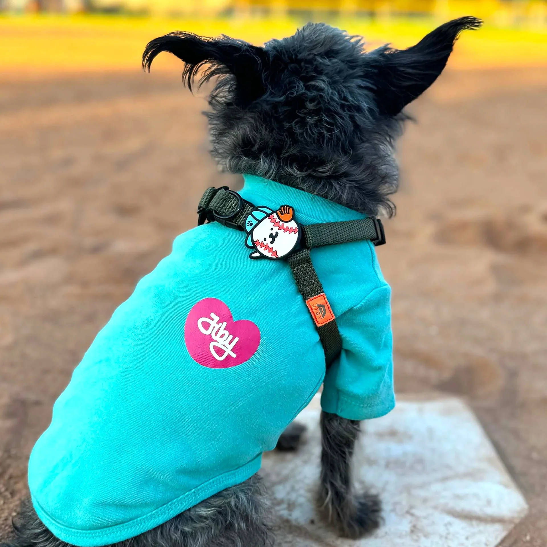 Baseball Jiby Dog Charm - Image 2