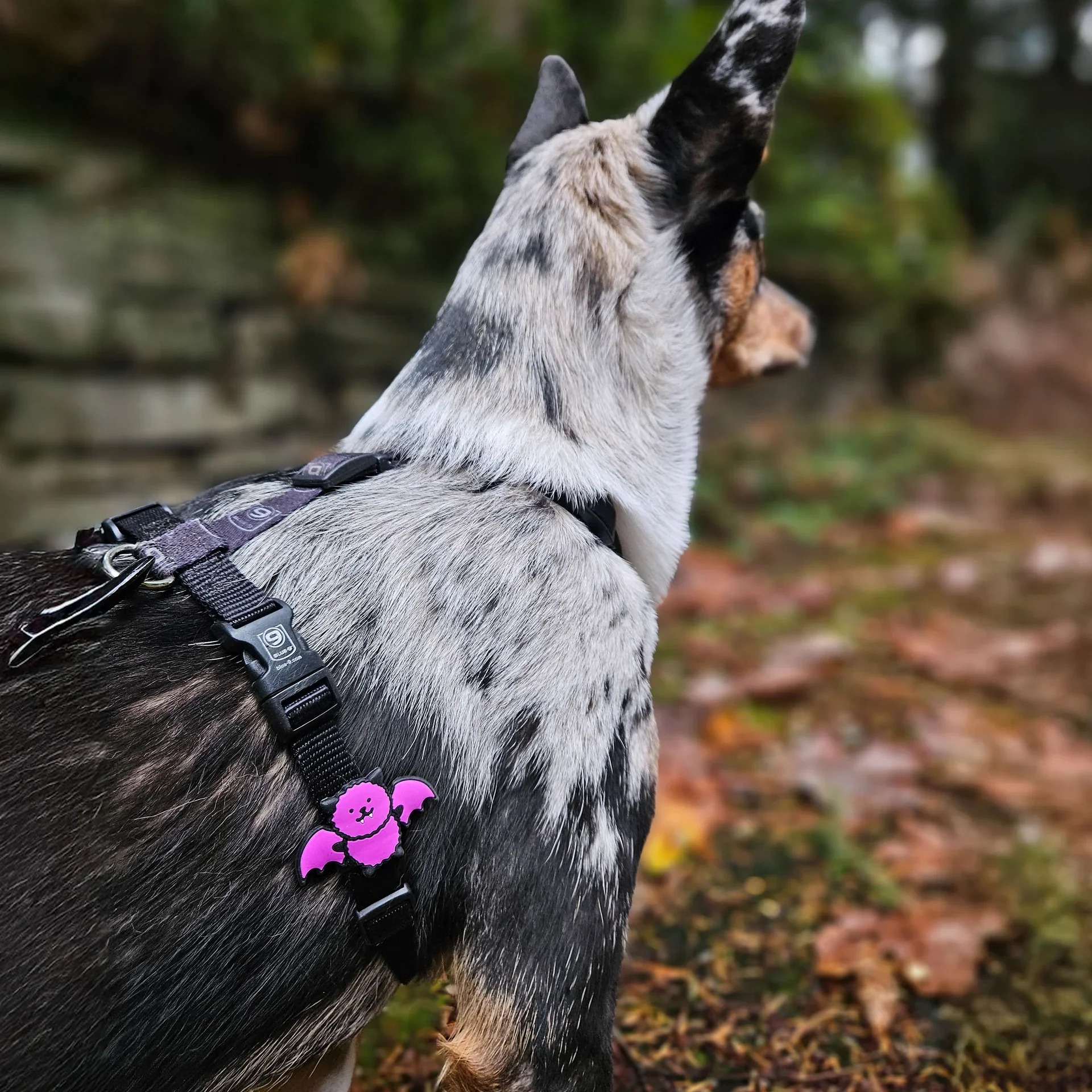 Bat Jiby Charm - Image 2