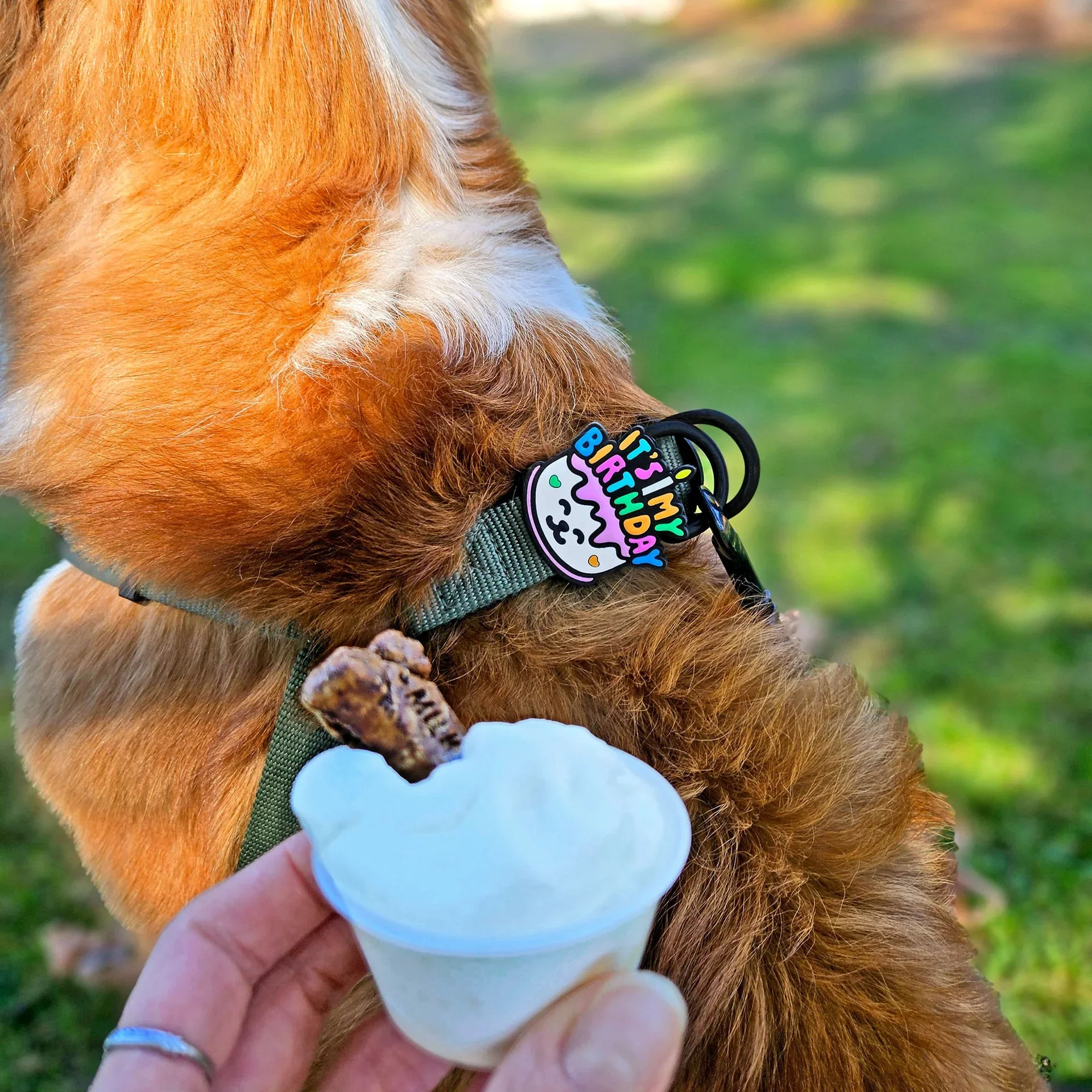 Birthday Jiby Dog Charm - Image 2