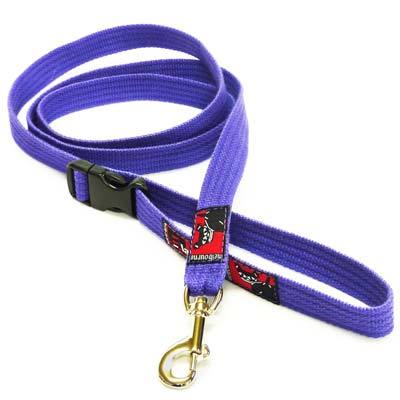 Black Dog Wear Smart Lead Small