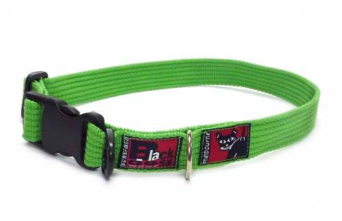 Black Dog Wear Standard Collar Large - Image 3
