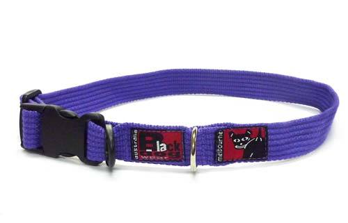Black Dog Wear Standard Collar Large - Image 5