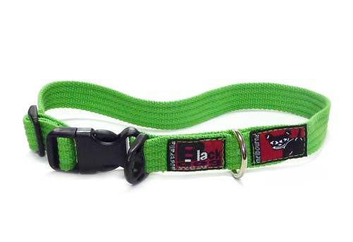 Black Dog Wear Standard Collar Medium - Image 2