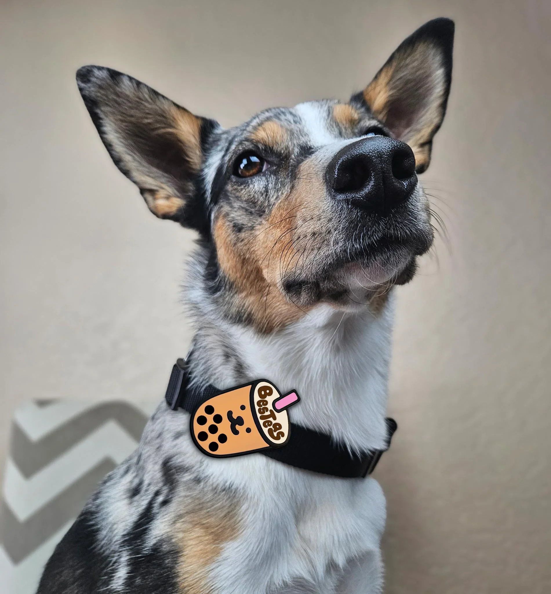 Boba Jiby Dog Charm - Image 2