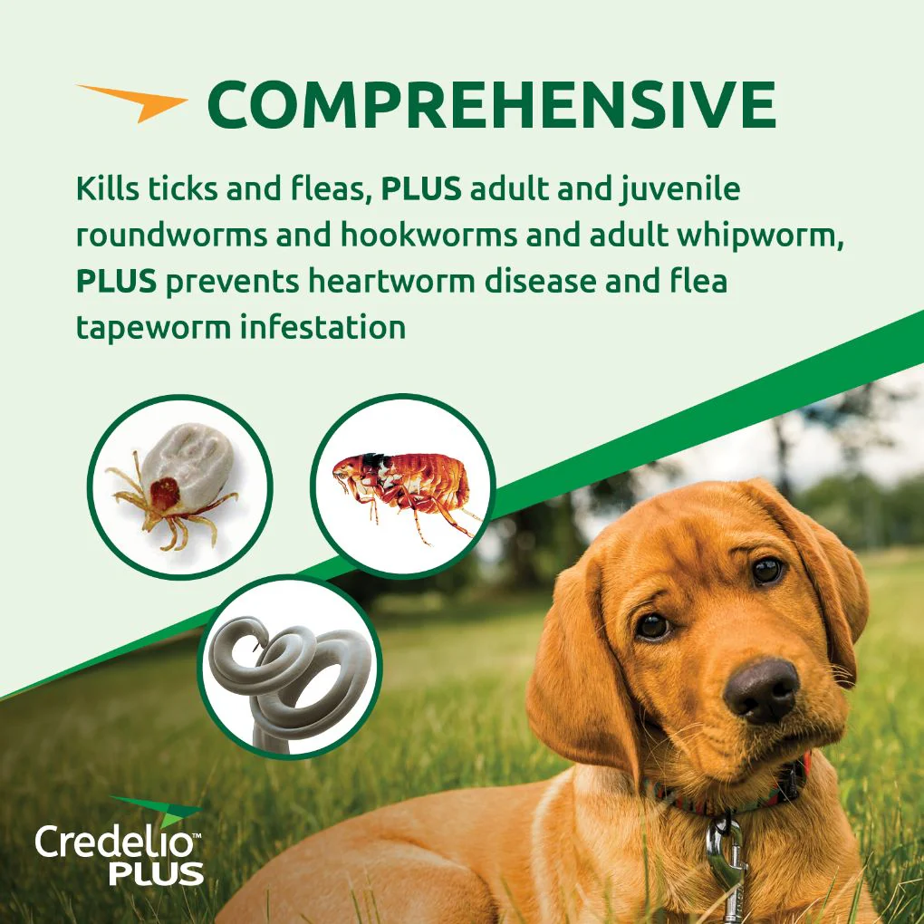 Credelio Plus Large 11-22kg Green - Image 4