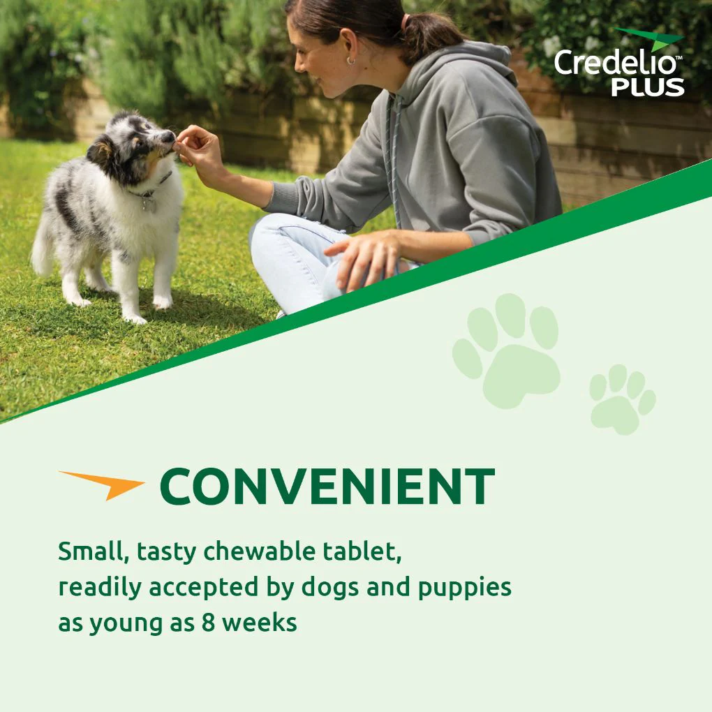 Credelio Plus Large 11-22kg Green - Image 6