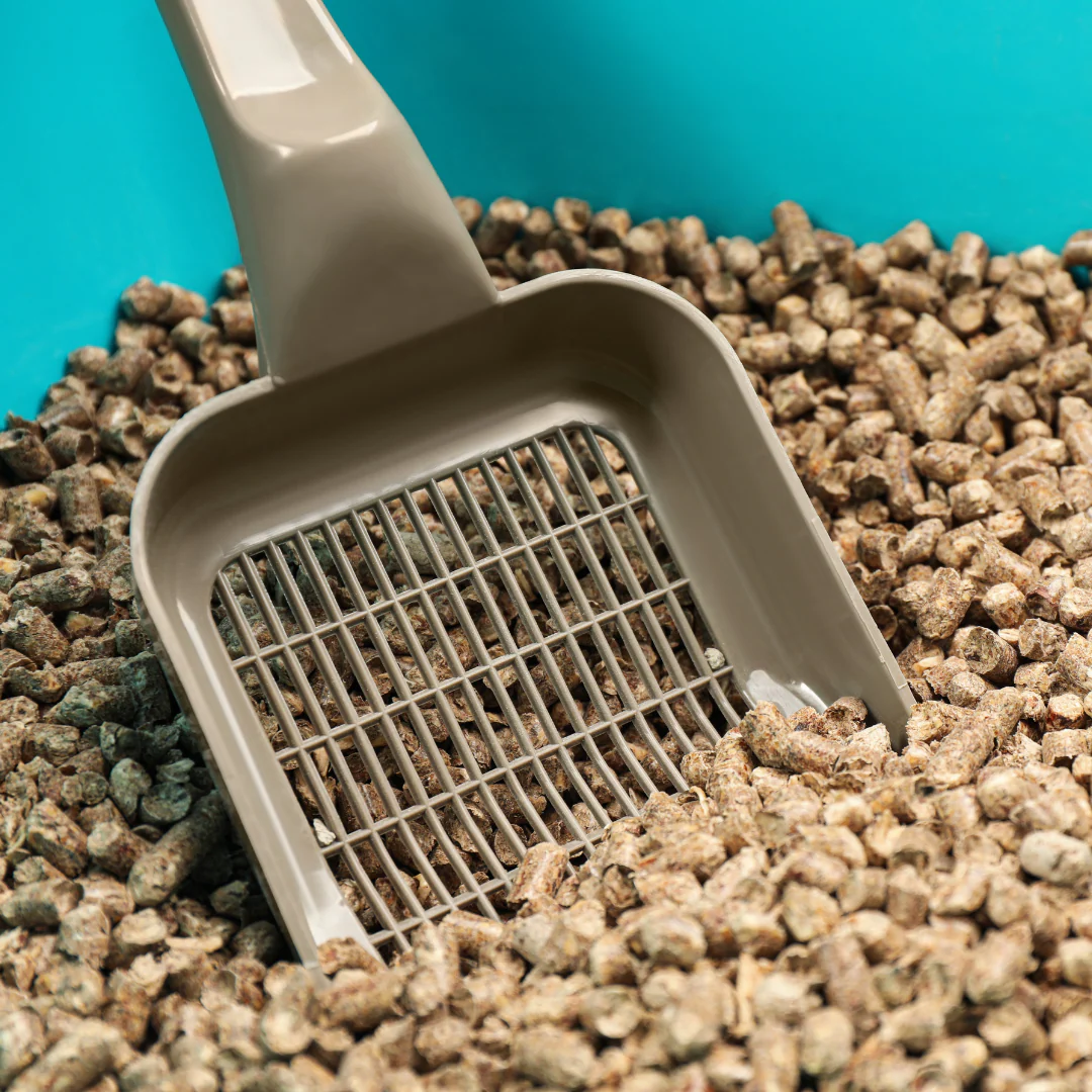 Elite Cat Litter 15kg - Image 2