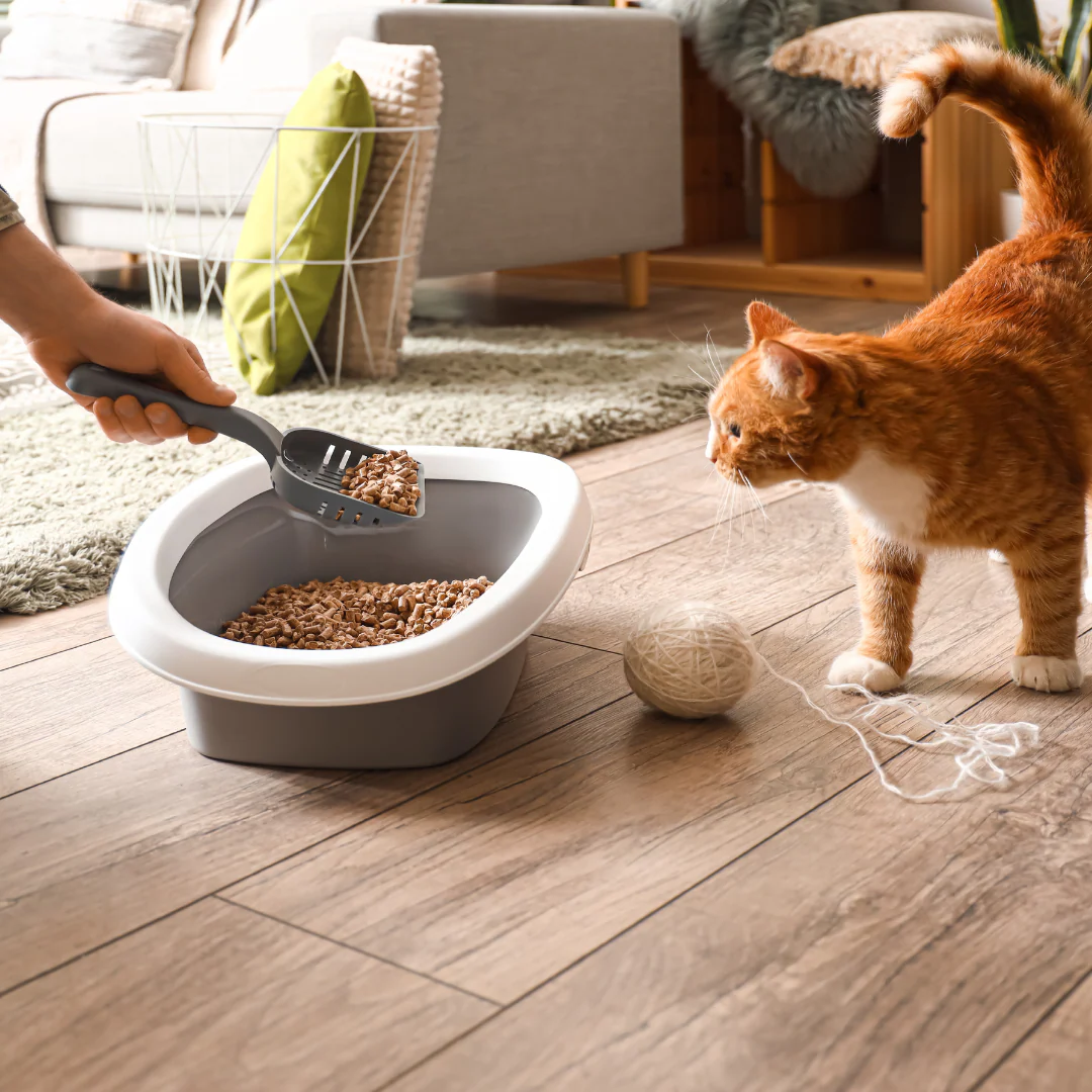 Elite Cat Litter 15kg - Image 3