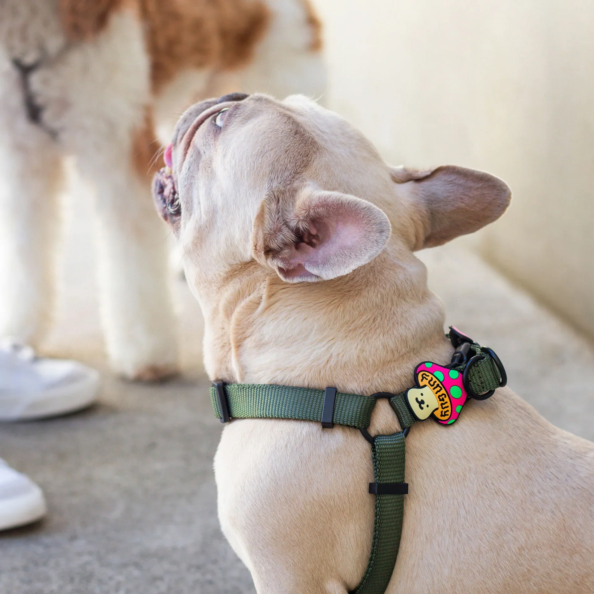Funguy Jiby Dog Charm - Image 2