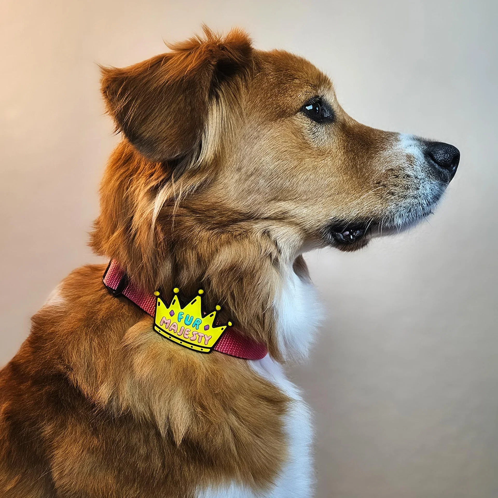Fur Majesty Jiby Dog Charm - Image 2