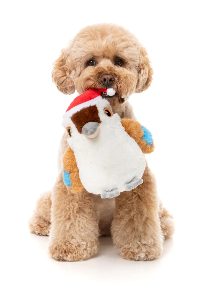 Fuzz Yard Ka-Tree-Na the Kookaburra - Dog Toy - Image 4