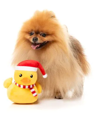 FuzzYard Christmas Dog Toy - Festive Waddles - Image 4