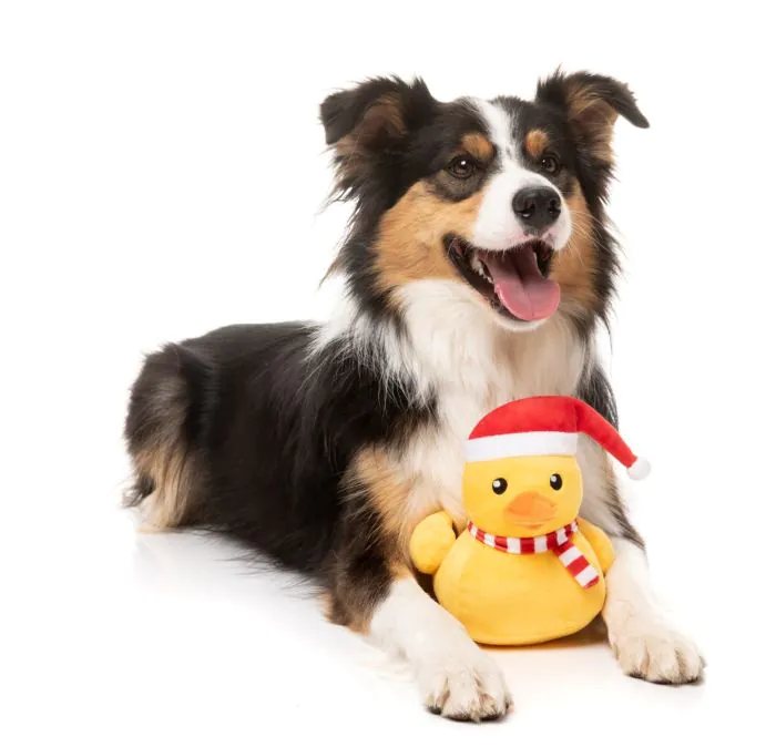 FuzzYard Christmas Dog Toy - Festive Waddles - Image 5