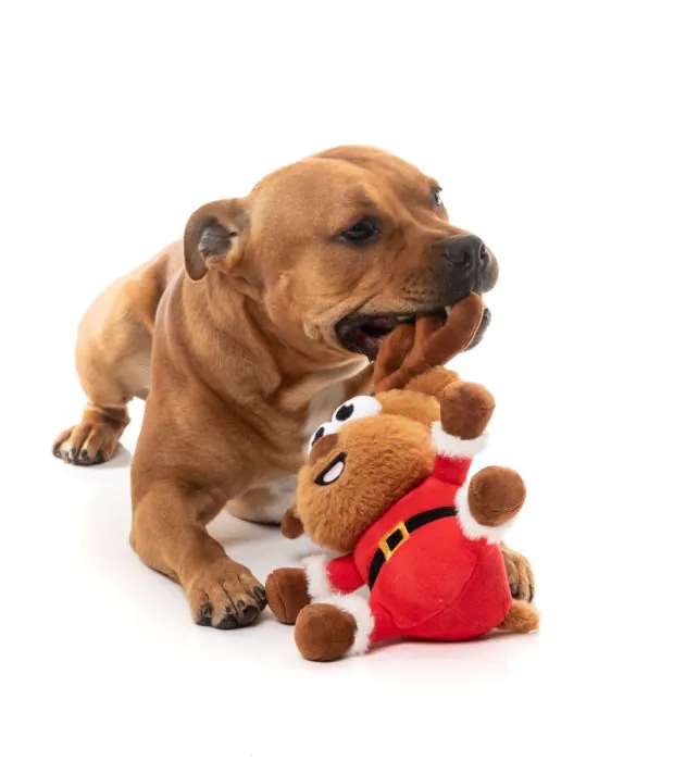 FuzzYard Christmas Dog Toy - Reggie Claus Reindeer - Image 3