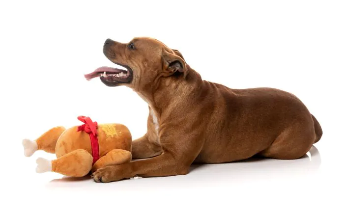 FuzzYard Christmas Dog Toy - Let's Get Basted - Image 4