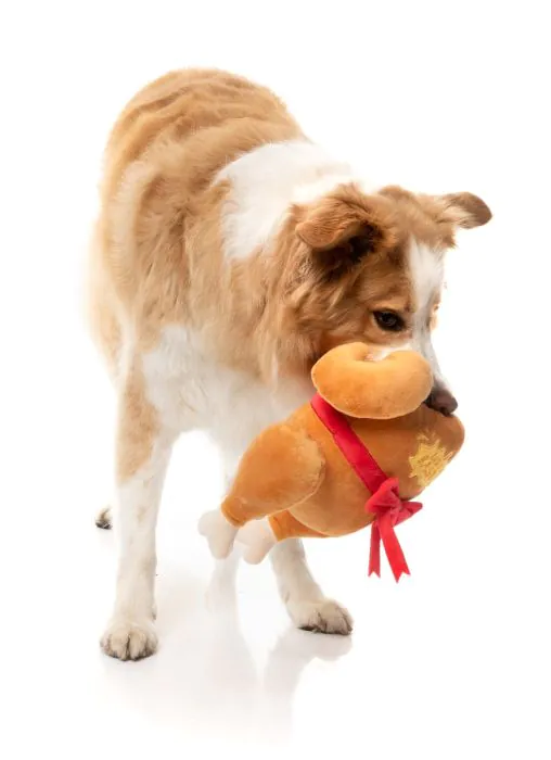 FuzzYard Christmas Dog Toy - Let's Get Basted - Image 5