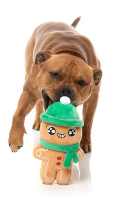 FuzzYard Christmas Dog Toy - Holly Jolly Chillybread - Image 4