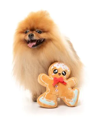 FuzzYard Christmas Dog Toy - Biscuit Blader - Image 4