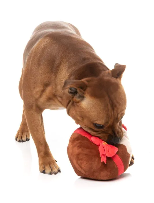 FuzzYard Christmas Dog Toy - Merry Puddin - Image 5