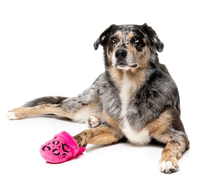FuzzYard Dog Toy - Angel Slipper - Image 4