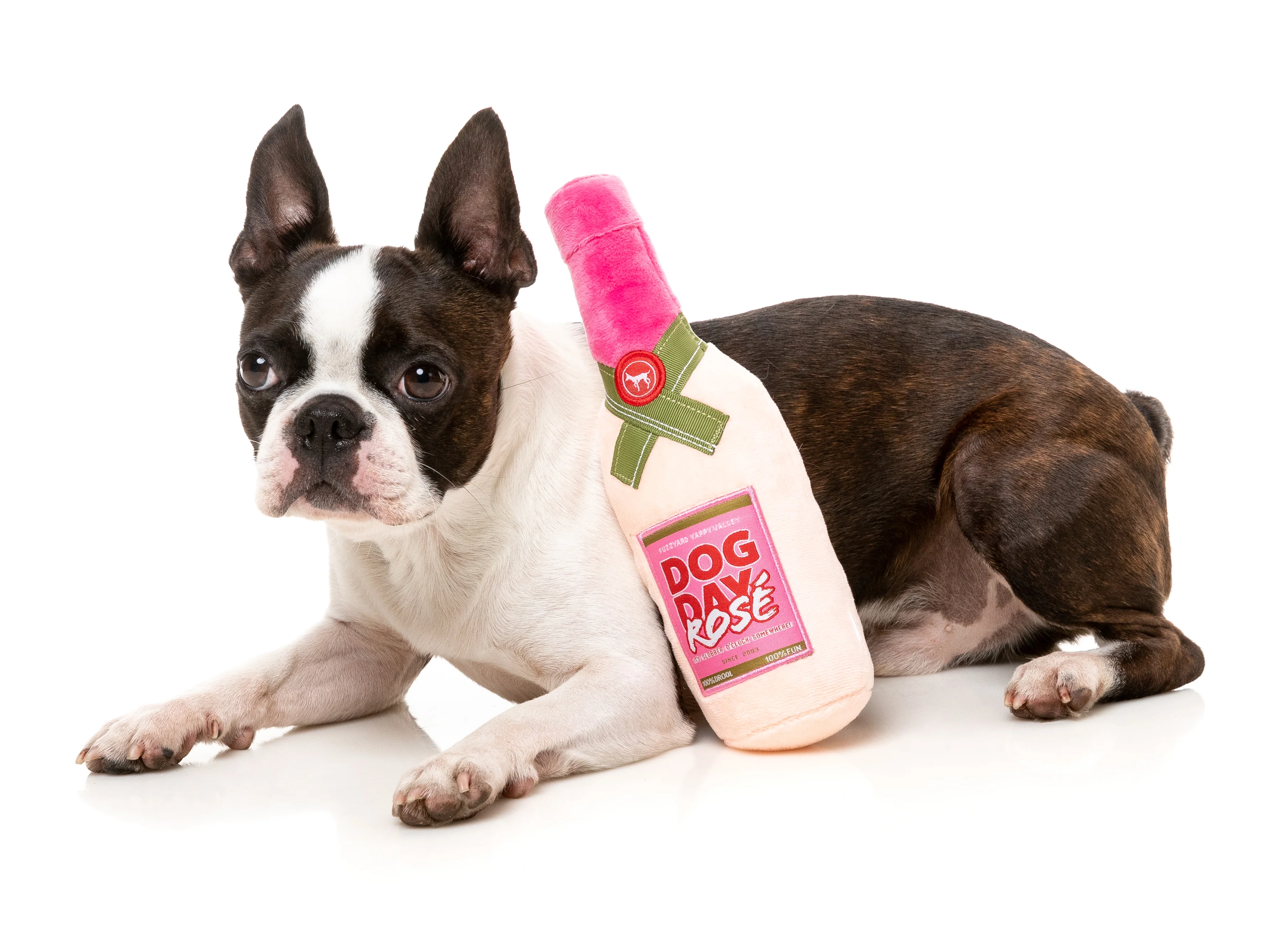 FuzzYard Dog Toy - Dog Day Rosé - Image 4