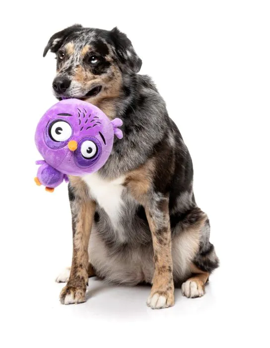 FuzzYard Dog Toy - Hoo-Dini - Image 5