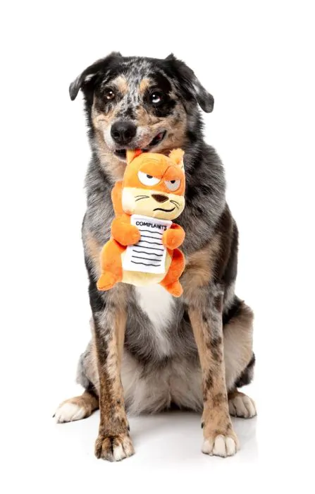 FuzzYard Dog Toy - Karen - Image 4
