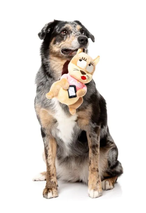 FuzzYard Dog Toy - #Ashleigh - Image 5