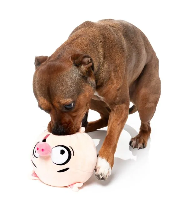 FuzzYard Dog Toy - Snoop Hogg - Image 5