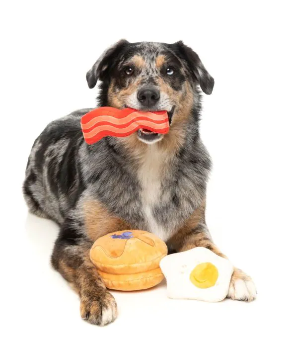 FuzzYard Dog's Breakfast 3pk - Dog Toy - Image 2
