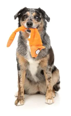 FuzzYard Farewell Fox - Dog Toy - Image 3