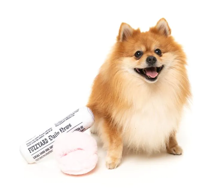 FuzzYard Fetch My Slippers & Paper 2pk - Dog Toy - Image 2