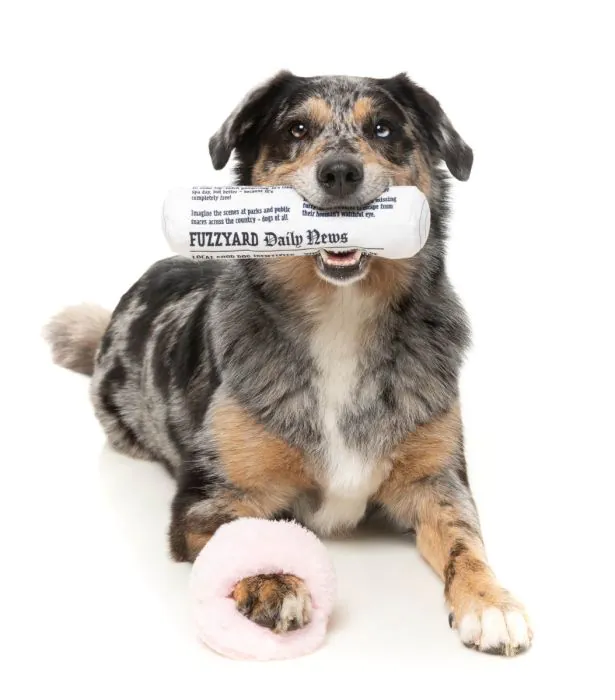 FuzzYard Fetch My Slippers & Paper 2pk - Dog Toy - Image 3