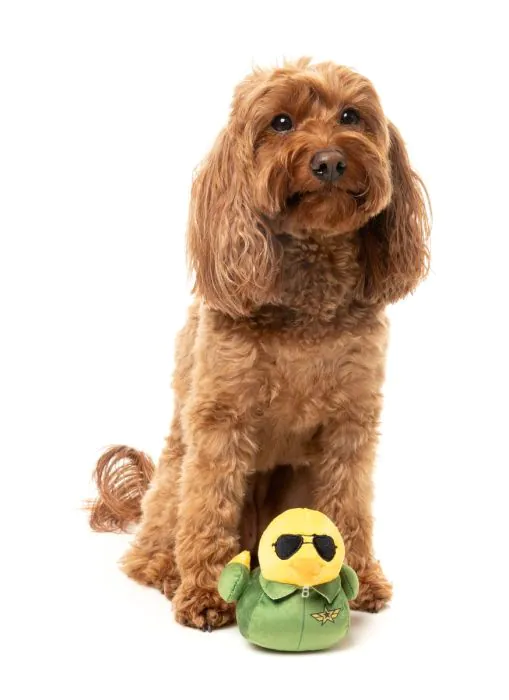FuzzYard Goose - Dog Toy - Image 3