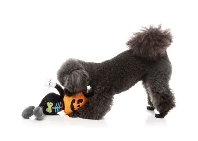 FuzzYard Halloween Dog Toy Boo-Ternut - Image 3