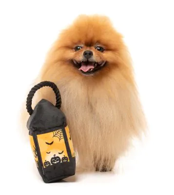 FuzzYard Halloween Dog Toy Eerie Light Up Lantern - Image 3
