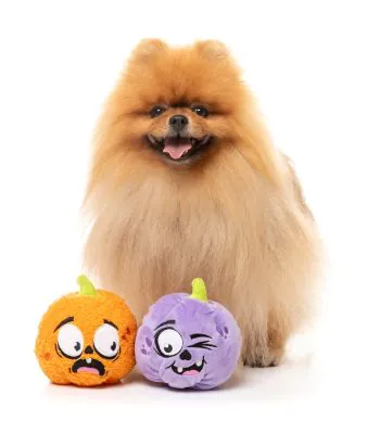 FuzzYard Halloween Dog Toy Trick or Treat Duo 2pk - Image 4