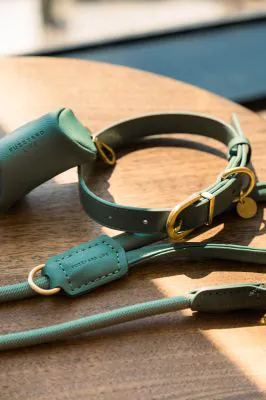 FuzzYard Life Atelier Dog Collar - Myrtle Green - Image 4