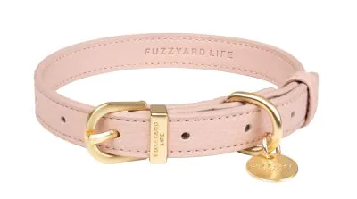 FuzzYard Life Atelier Dog Collar - Soft Blush - Image 5