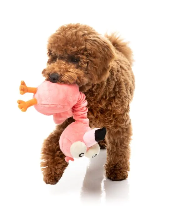 FuzzYard Neck Minnits - Neckole The Flamingo - Image 4