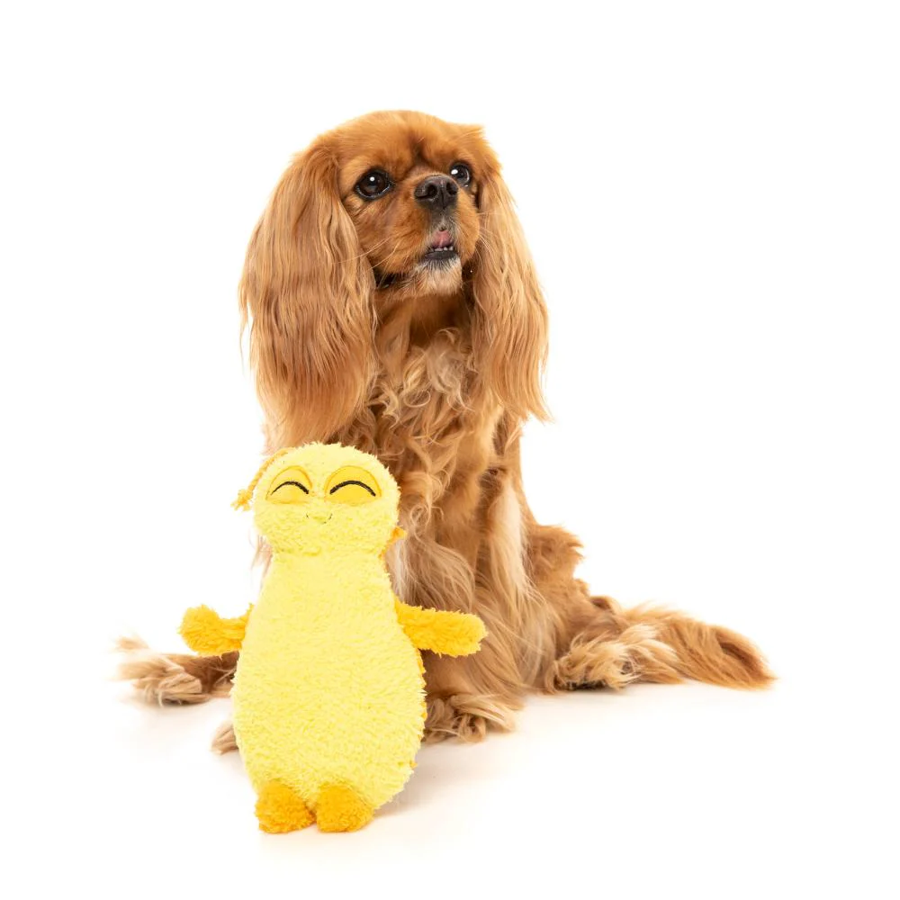 Fuzzyard Plush Dog Toy Belly the Bed Bug - Image 2