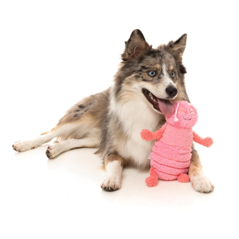 Fuzzyard Plush Dog Toy Flutter the Bed Bug - Image 2