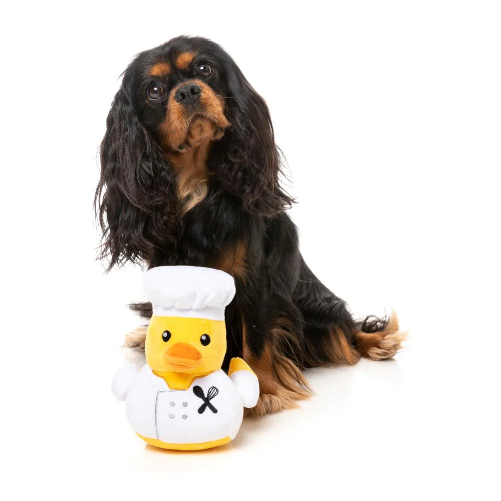 Fuzzyard Plush Dog Toy Gordon Quacksay - Image 2