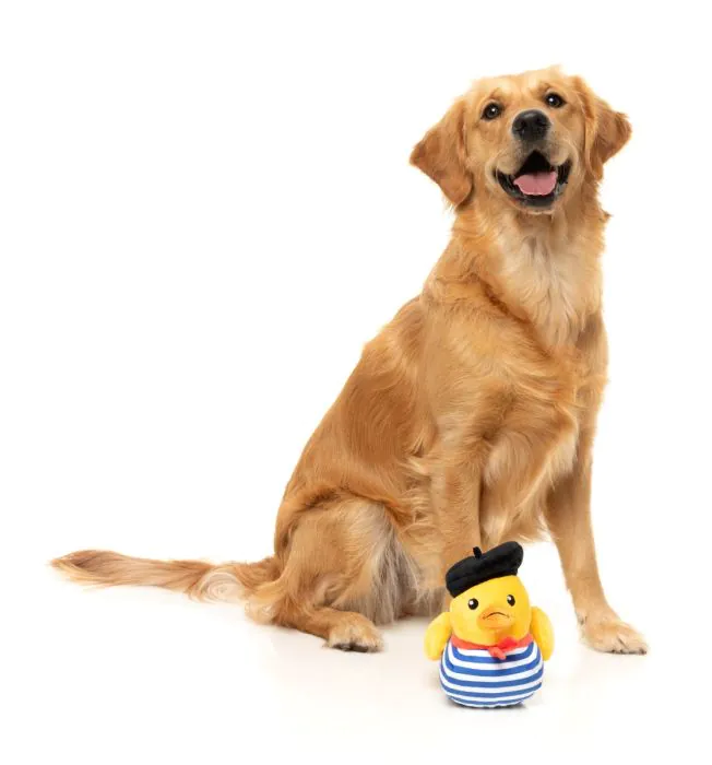 FuzzYard Timothee Chalaquack - Dog Toy - Image 3