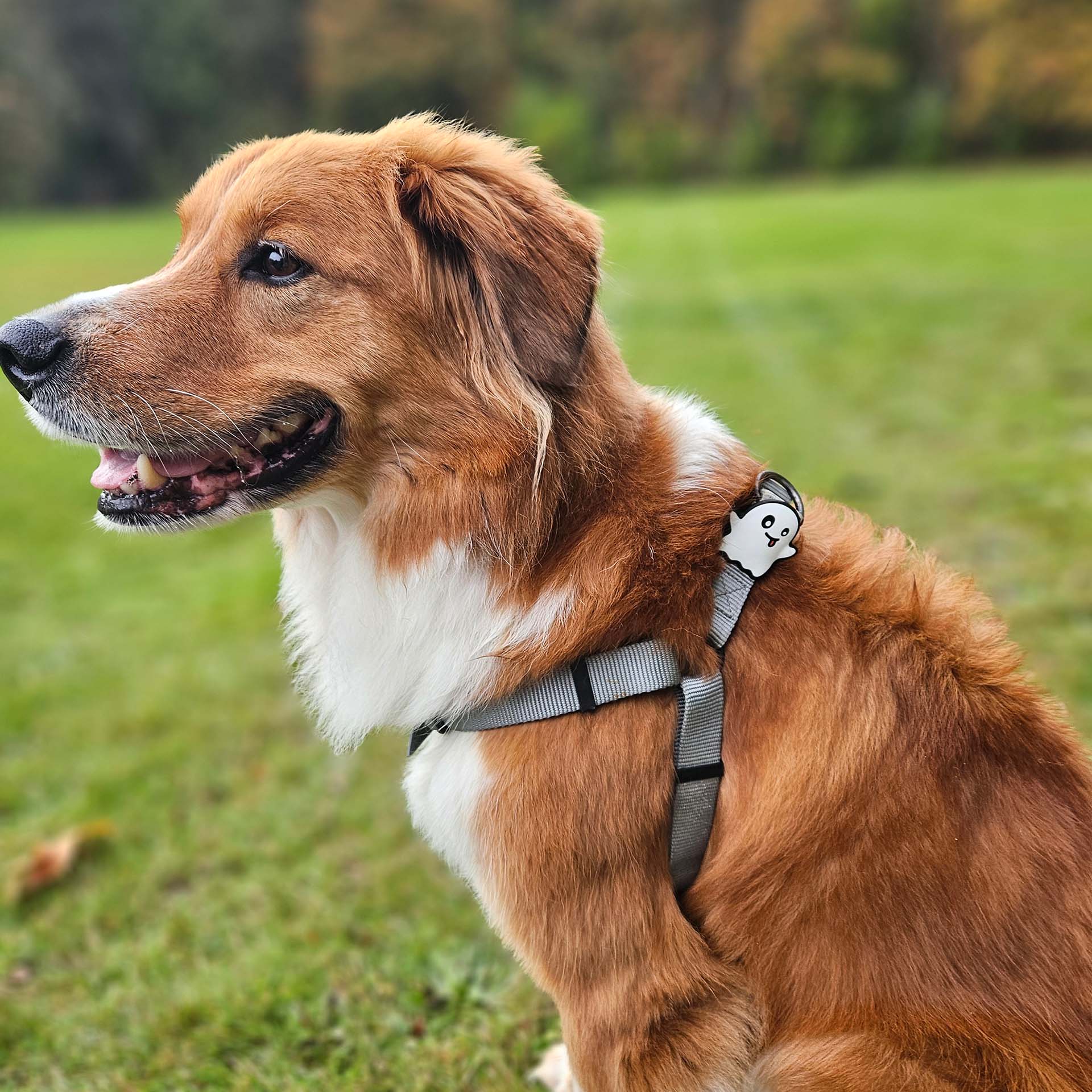 Ghost Jiby Dog Charm - Image 2