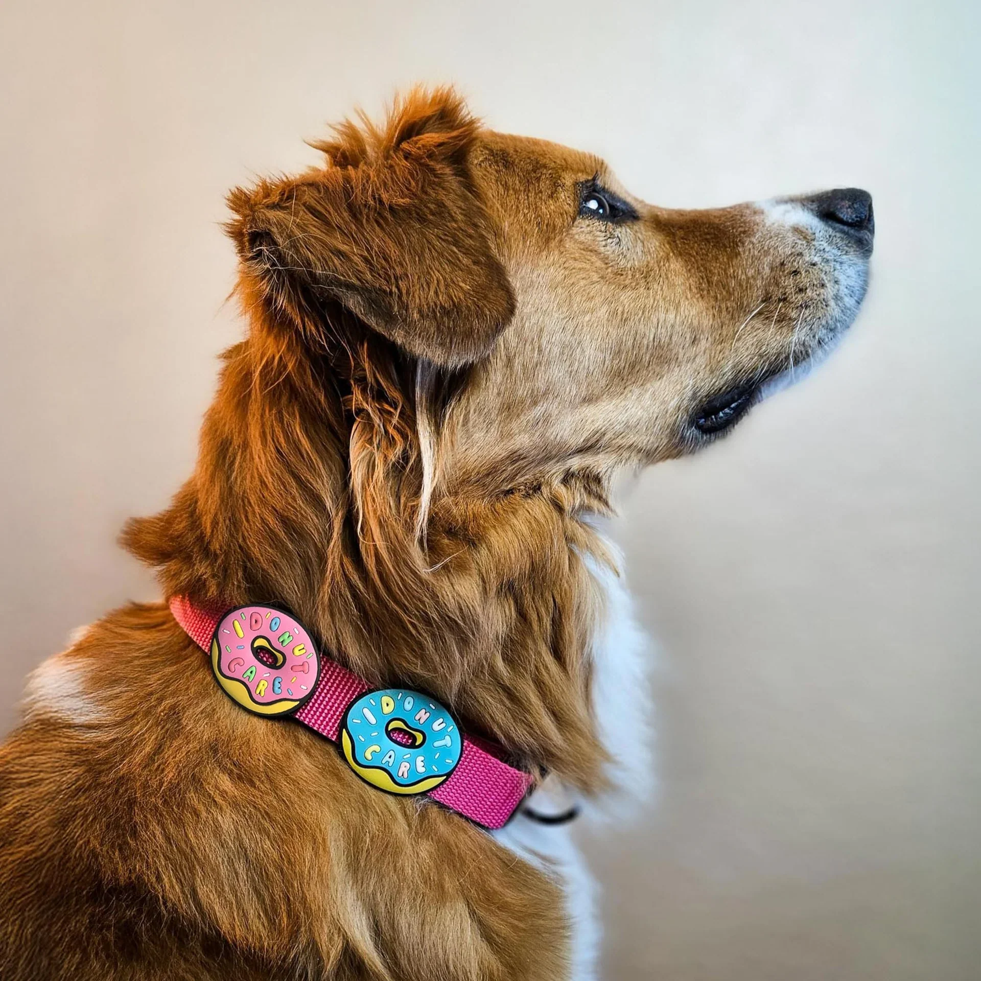 I Donut Care Jiby Dog Charm - Image 5