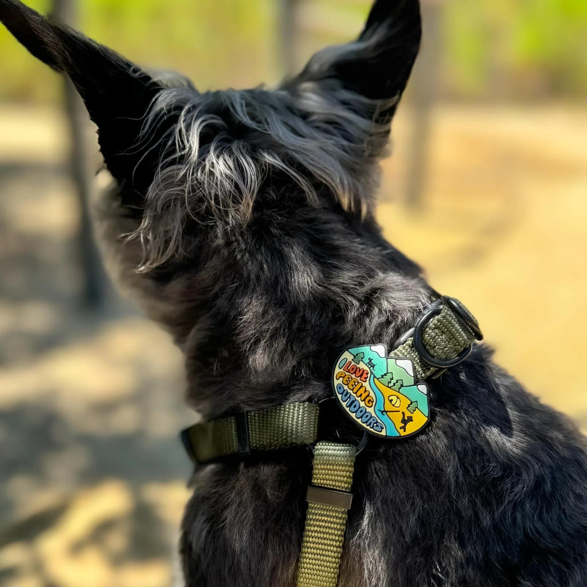 I Love Peeing Outdoors Jiby Dog Charm - Image 2